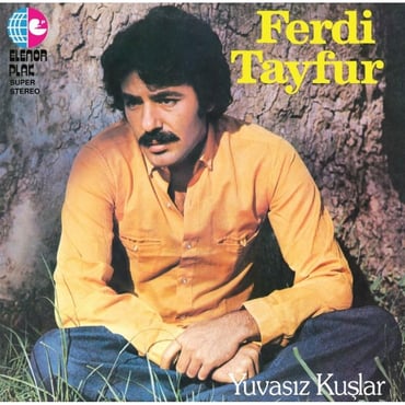 Ferdi Tayfur - Yuvasız Kuşlar (Poster)