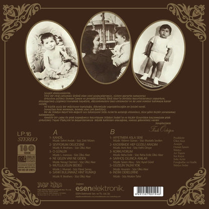 Ferdi Özbeğen - Seviyorum Delicesine (Schallplatte, Vinyl, Plak)