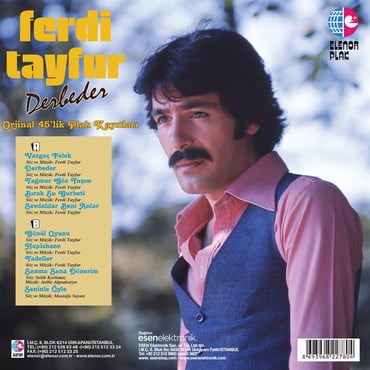 Ferdi Tayfur - Derbeder (Plak)