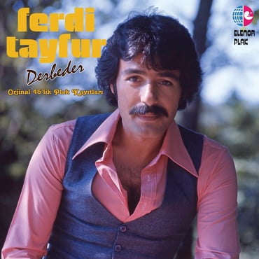 Ferdi Tayfur - Derbeder (Plak)