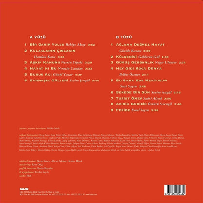 Yeşilçam Şarkıları Vol.1 - Aşkın Kanunu (record)